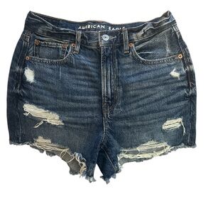 American Eagle Outfitters High Waisted Blue Denim Shorts